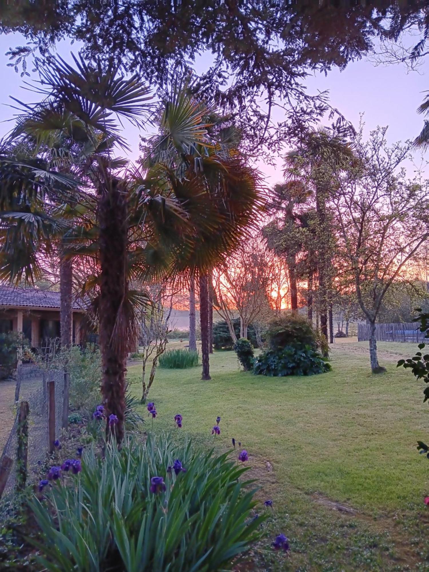 Gite Au Moulin Du Comte Bourrouillan Ngoại thất bức ảnh